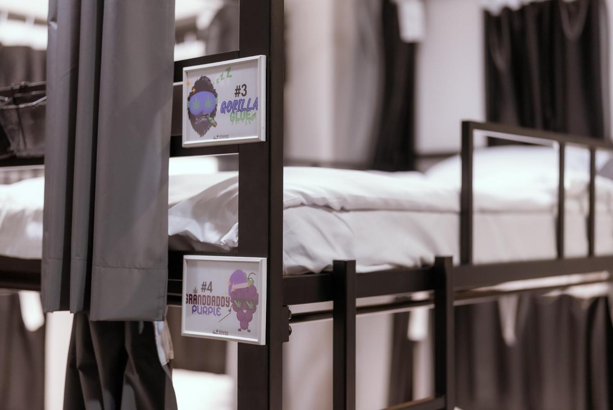 420 Hostel - Ekkamai Buds & Beds Bangkok Dış mekan fotoğraf